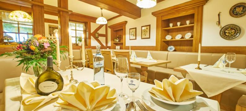 阿克泽特格德尼尔斯特恩酒店(Akzent Hotel Goldner Stern)图片