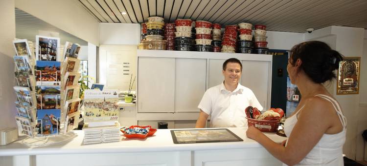 韦尔特舒适酒店(Hotel Strasbourg - Montagne Verte & Restaurant Louisiane)图片