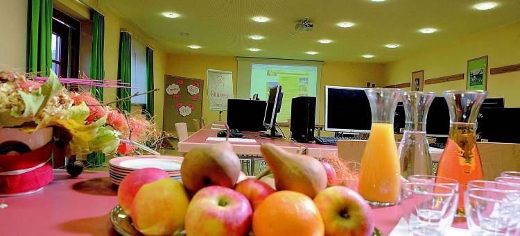 多内尔斯巴赫瓦尔德JUFA宾馆(Jufa Hotel Donnersbachwald)图片