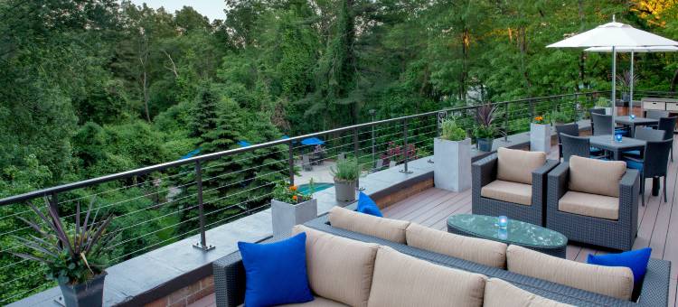 波士顿万豪酒店伯灵顿(Boston Marriott Burlington)图片