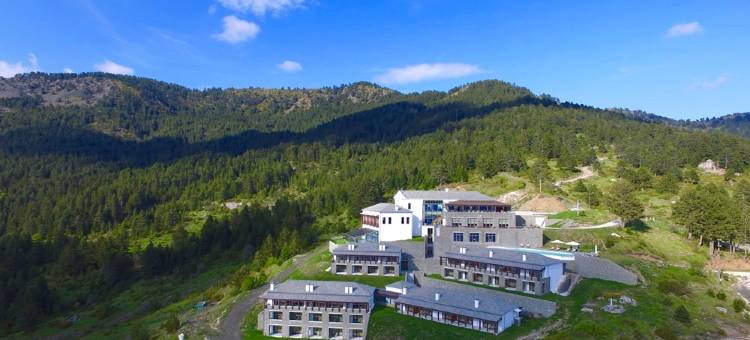 林大迈措翁大酒店(Grand Forest Metsovo - Leading Hotels of the World)图片