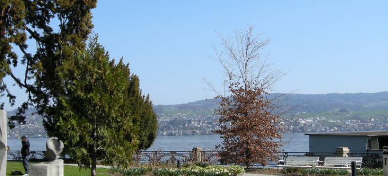 梅尔霍夫酒店(Hotel Meierhof)图片