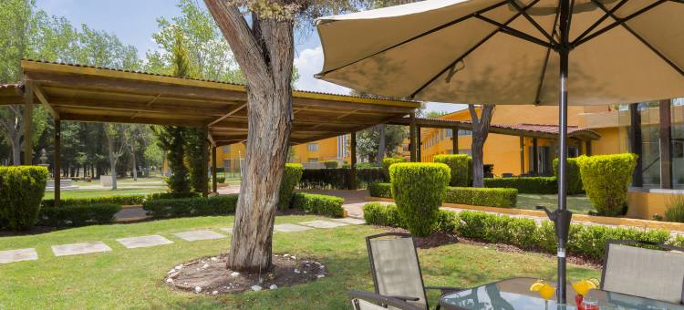 帕丘卡伽玛酒店(Gamma Pachuca)图片