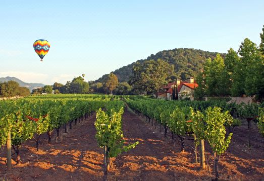 Napa Valley LodgeHotel Overview