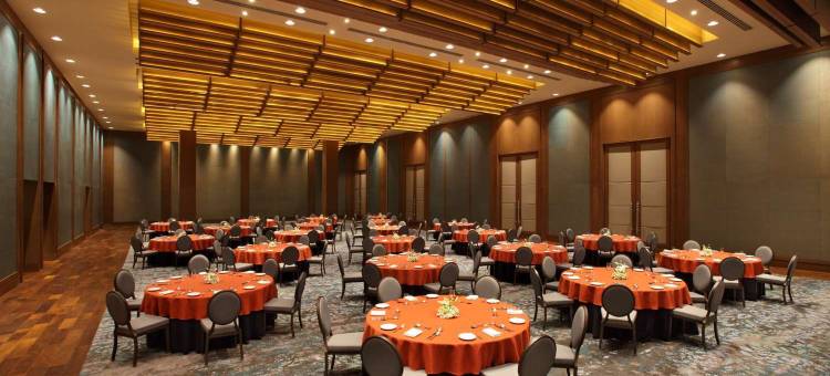 艾哈迈达巴德凯悦酒店(Hyatt Regency Ahmedabad)图片