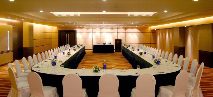 加济阿巴德区萨西巴巴德丽怡酒店(Country Inn & Suites by Radisson, Sahibabad)图片