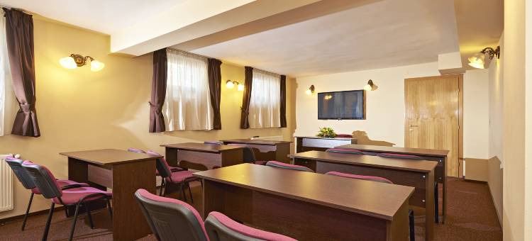 安姆比恩特膳食公寓酒店(Pensiunea Ambient)图片