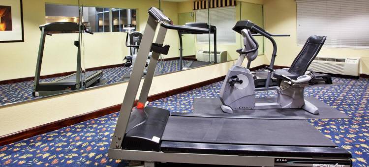 Holiday Inn Express 阿尔普哈雷塔- 罗斯威尔(Holiday Inn Express Alpharetta - Roswell)图片