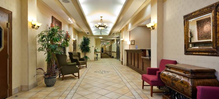 舒适酒店及套房(Comfort Inn & Suites)图片