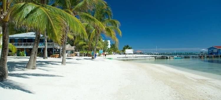 Exotic Caye Beach Resort图片