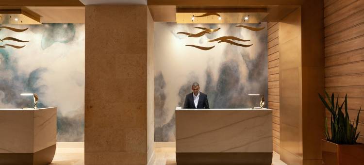 坦帕水街万豪酒店(Tampa Marriott Water Street)图片