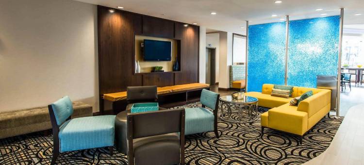 舒适套房酒店-罗德岱堡机场南游艇港(Comfort Suites Fort Lauderdale Airport South & Cruise Port)图片