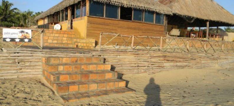 棕榈林小屋旅馆(Palm Grove Lodge)图片