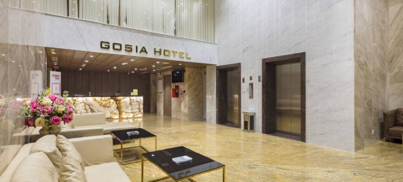 格西亚酒店(Gosia Hotel)图片