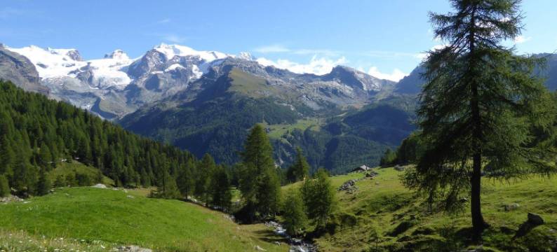 乐木屋(Family Apartments le Chalet)图片