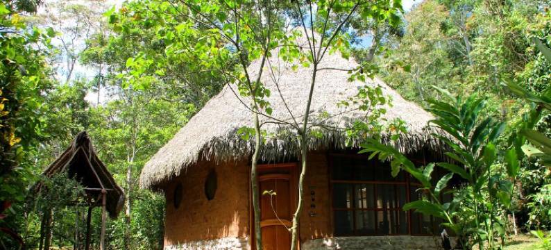 十米亚库亚马逊旅馆(Shimiyacu Amazon Lodge)图片