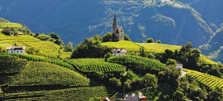 米拉蒙蒂精品酒店(Miramonti Boutique Hotel)图片