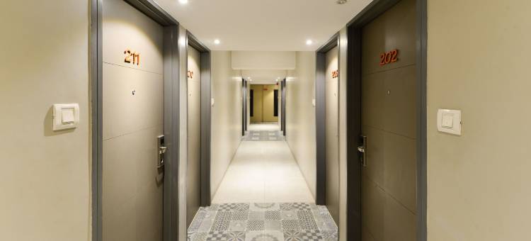 Treebo Swastik图片