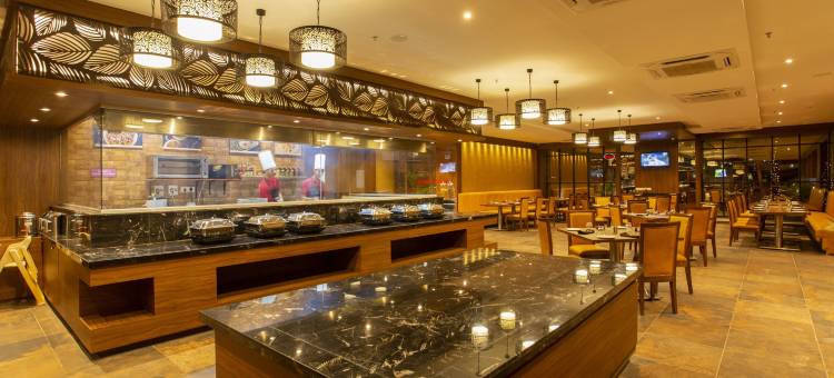 索姆纳斯萨罗瓦波尔蒂科酒店(Sarovar Portico, Somnath)图片