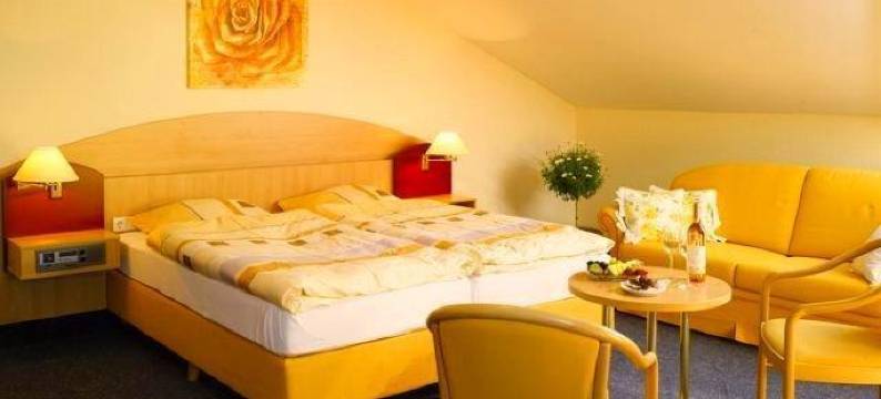 晓晨酒店(Hotel Schoch)图片