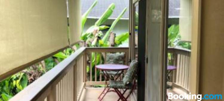 Beach Studio by Shark's Cove图片