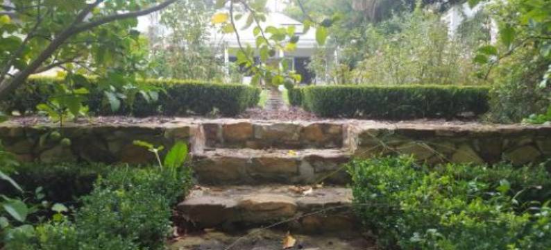 Constantia Klein图片