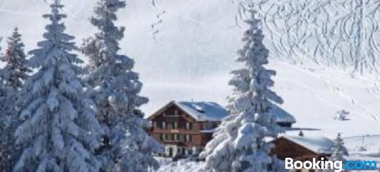 阿尔卑斯酒店(Hotel des Alpes)图片