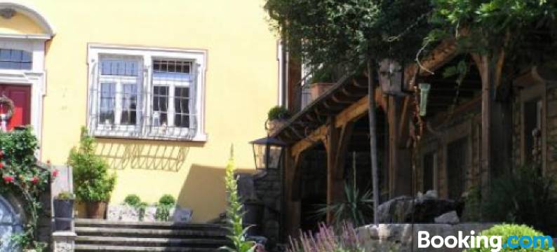 弗里肯豪森迈恩辛格酒庄酒店(Hotel / Weingut Meintzinger)图片