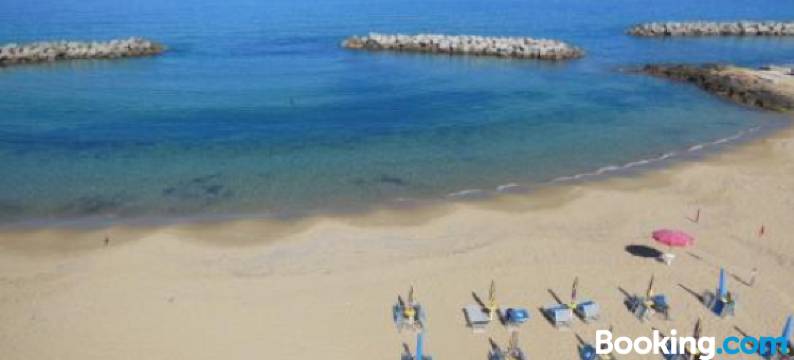 新索尼亚酒店(New Hotel Sonia)图片