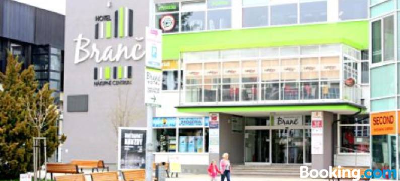 Garni Hotel Branč图片