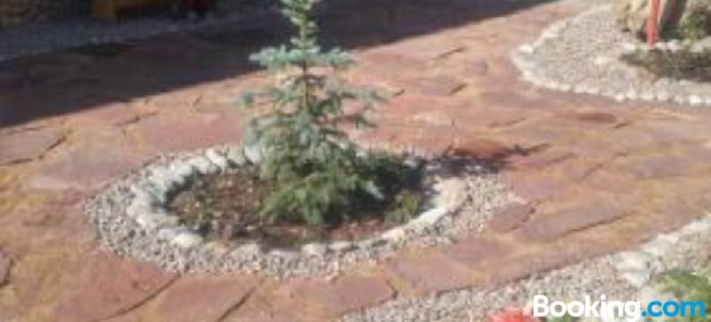 Ethno Guest House Caravan Tamchy图片