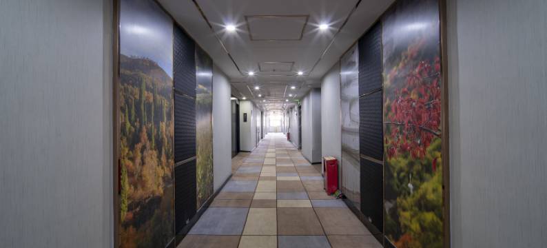 伊宁柏漫酒店(六星街店)图片