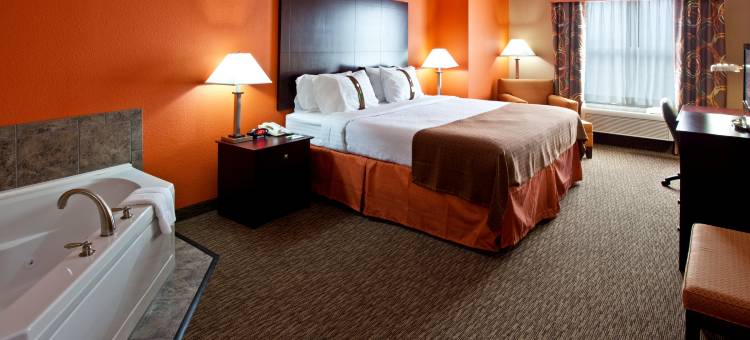 Holiday Inn 路易斯威尔机场南(Holiday Inn Louisville Airport South)图片