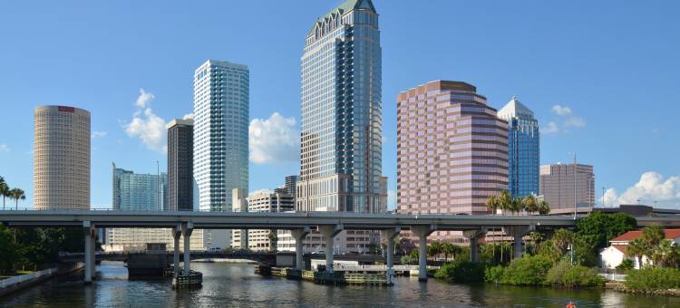 坦帕机场智选假日酒店(Holiday Inn Express & Suites Tampa Airport)图片