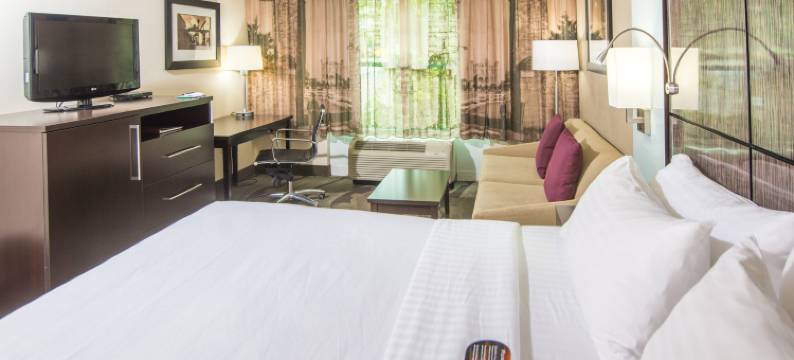 汉普顿旅馆圣奥古斯丁市中心历史区(Hampton Inn St Augustine Downtown Historic Distric)图片