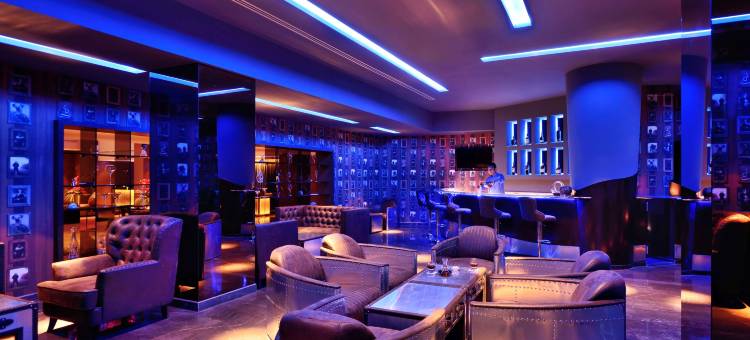 班加罗尔丽笙酒店(Radisson Blu Atria Bengaluru)图片
