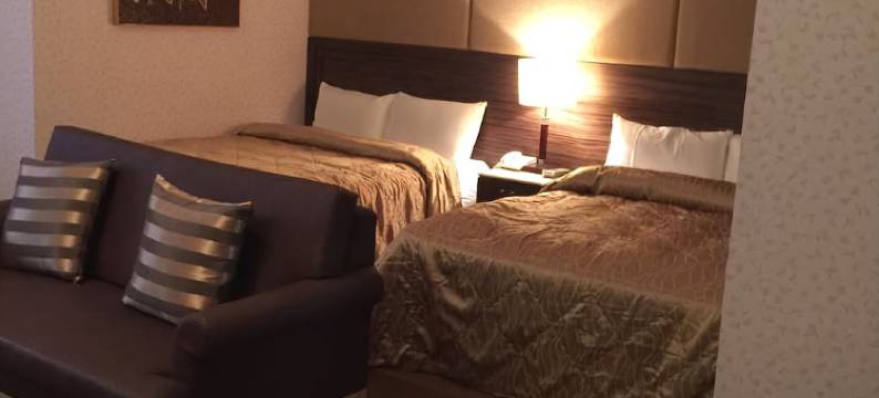 嘉义丽景精品休闲旅馆图片