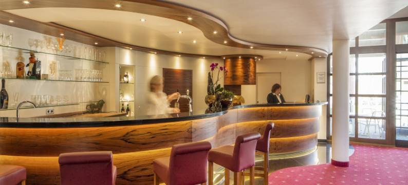 茵维特洛文弗赖堡酒店(Hotel Schwärs Löwen Freiburg)图片