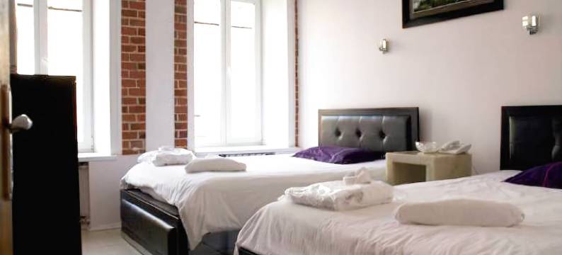 彼得罗夫卡阁楼家具客房酒店(Furnished Rooms Petrovka Loft)图片