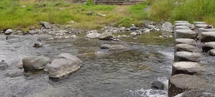 安通溪畔温泉民宿图片