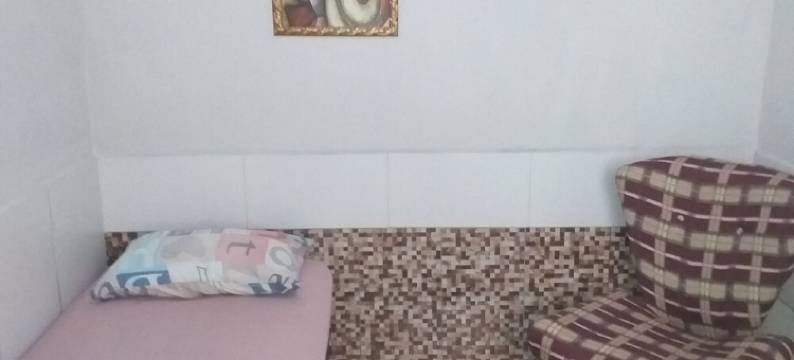 席尔瓦林肯卡洛斯旅馆(Meu Quarto No Rio de Janeiro)图片