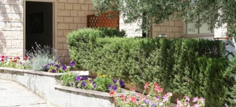 贾戈达旅馆(Apartments Jagoda)图片