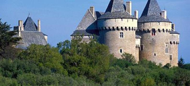 勒萨日餐厅酒店(Hotel Restaurant Lesage)图片