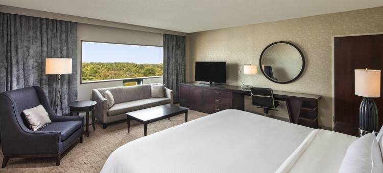 威斯汀酒店-底特律南园市(The Westin Southfield Detroit)图片