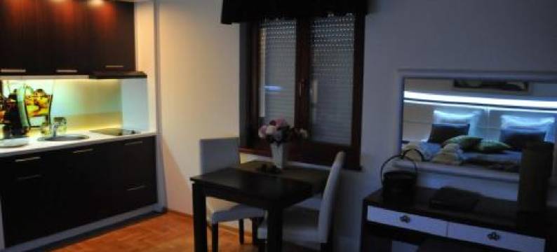 碧瑟尔公寓(Apartments Biser)图片