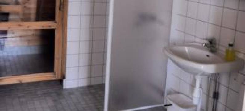 佩客内小屋公寓(Lomamaja Pekonen Apartments)图片