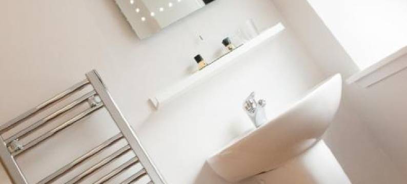 鲑鱼宾馆(The Salmon Inn)图片