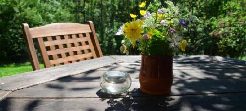 Bezgova Hišica图片