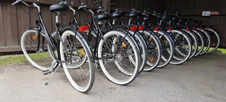 Gasthaus Patruuna图片