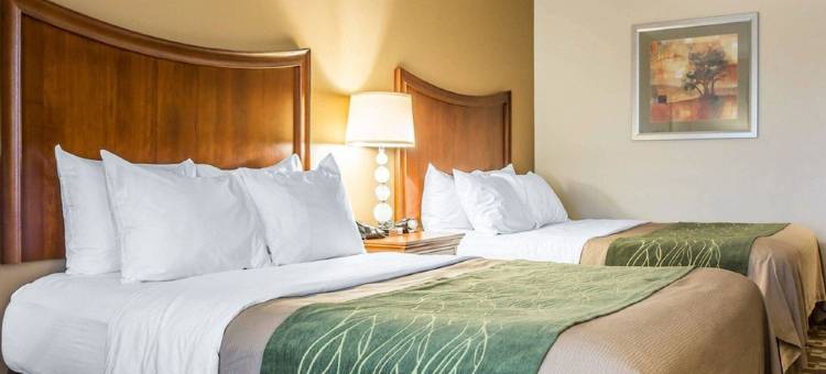 舒适套房酒店(Comfort Inn & Suites)图片